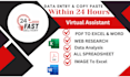 do accurate data entry, PDF to word conversion, and excel tasks