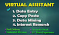va, data entry, internet research, lead generation, copy paste, web scraping