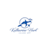 design modern elegant serious fish  logo