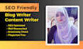 write engaging SEO friendly blogs and articles