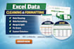 clean, format, merge, and organize excel data professionally