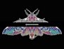 to digitally illustrate an insect with a black background in psychedelic