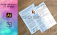 do professional CV designs and resume CV templates