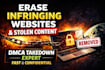 remove infringing websites and stolen content with dmca