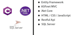 develop asp dot net core web application