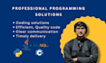 do python java, c, cpp programming and development project