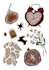 do cute sticker set