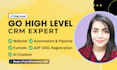 be a go high level expert for go high level funnel and gohighlevel landing page