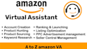 manage amazon dropshipping fbm store as va
