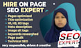 be your on page SEO expert