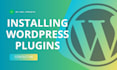 install premium plugins on your website
