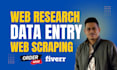 do any type of data entry and website research work