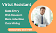 do excel, data entry, data collection, web research and copy paste