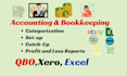 setup,cleanup and bookkeeping in quickbooks online xero