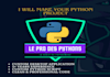 create custom python script program
