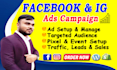 be professional fb ads manager, fb advertising expert