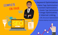 complete onpage and technical seo using wordpress