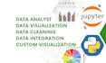 be data analyst, data visualization, dashboard expert