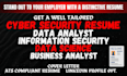 write data science, data analyst, cybersecurity resume, and resume writing