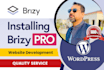 create a wordpress website using brizy pro builder