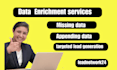 provide data enrichment,   appending data entry and targeted lead generation