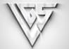 provide visually stunning logo animations