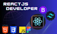 be front end web developer using react js professionally