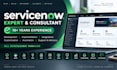 provide consultation services on servicenow