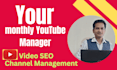 monthly youtube video SEO optimization management rapid rank