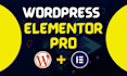 build business website, wordpress blogs , ecommerce website, using elementor pro