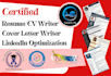 provide executive level ats resume writing service