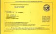 do llc registration with ein number and seller permit