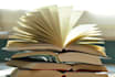 teach english literature lessons and mark your answers