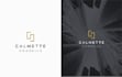 create a sophisticated high end corporate logo