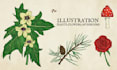 create illustration of plants, flowers, fruits and mushrooms