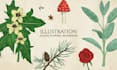 create illustration of plants, flowers, fruits and mushrooms