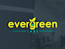 do a professional modern business evergreen labs logo design