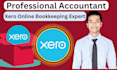 do xero bookkeeping and accounting