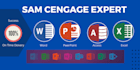 do all ms office, excel, access, sam cengage capstone and projects