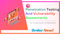 do vulnerability and penetration testing with security
