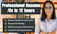 deliver 12 hours professional resume maker and tech cv writing services