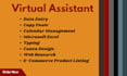 be your virtual assistant for data entry and web research