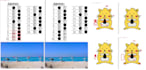 sell software find two image differences, only on desktop pc, no internet needed