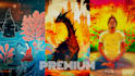infuse your spotify canvas with vibrant animations