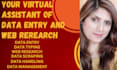be your virtual assistant of data entry, web research and data management