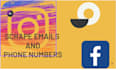 scrape emails and phone numbers and names