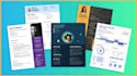 design a professional resume, CV, bio data template