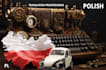 translate any text into polish and make proofreading