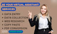 do data entry, copy paste and web scraping for you