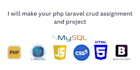 make your laravel crud assignments